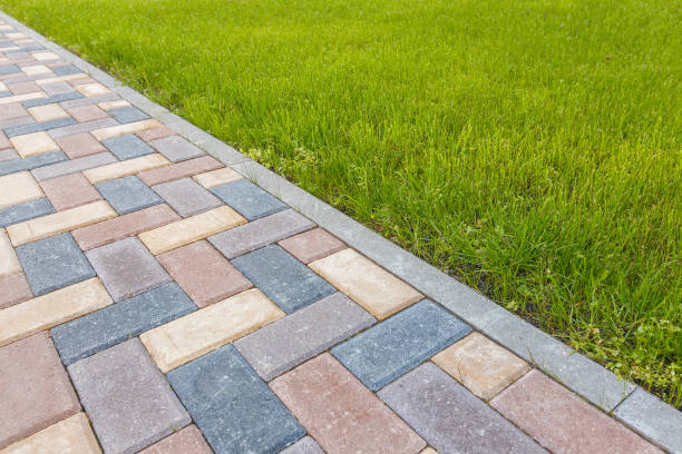 Best Custom Driveway Pavers  in Salida Del Sol Estates, TX